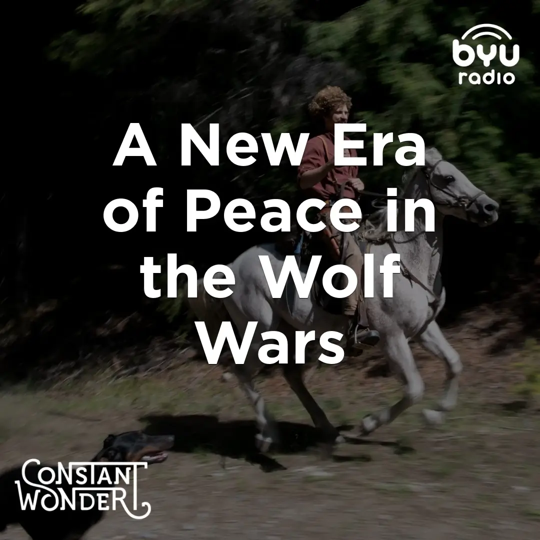 Read more about the article A New Era of Peace in the Wolf Wars