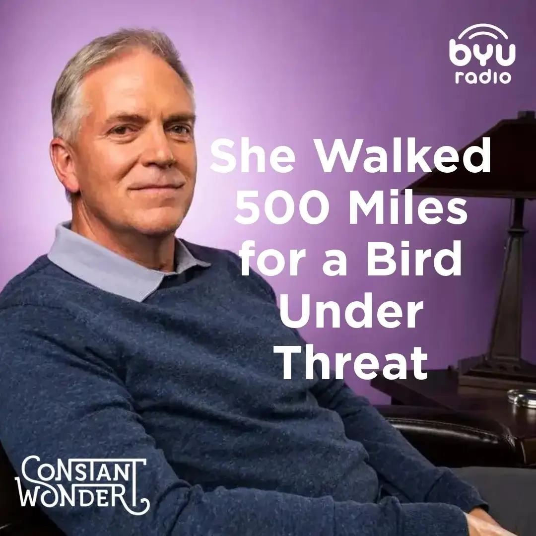 Read more about the article She Walked 500 Miles for a Bird Under Threat