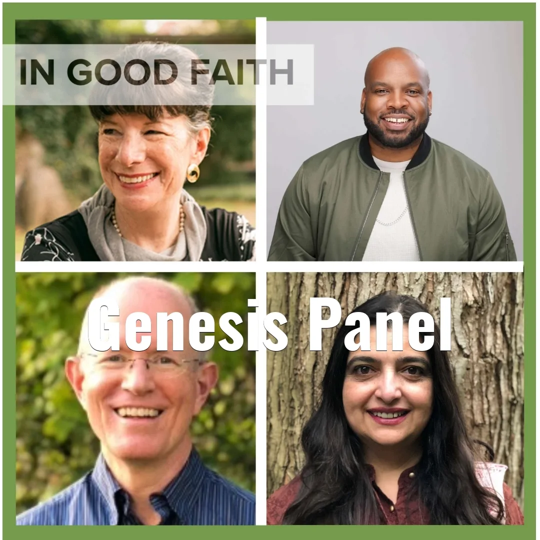Read more about the article Genesis Panel