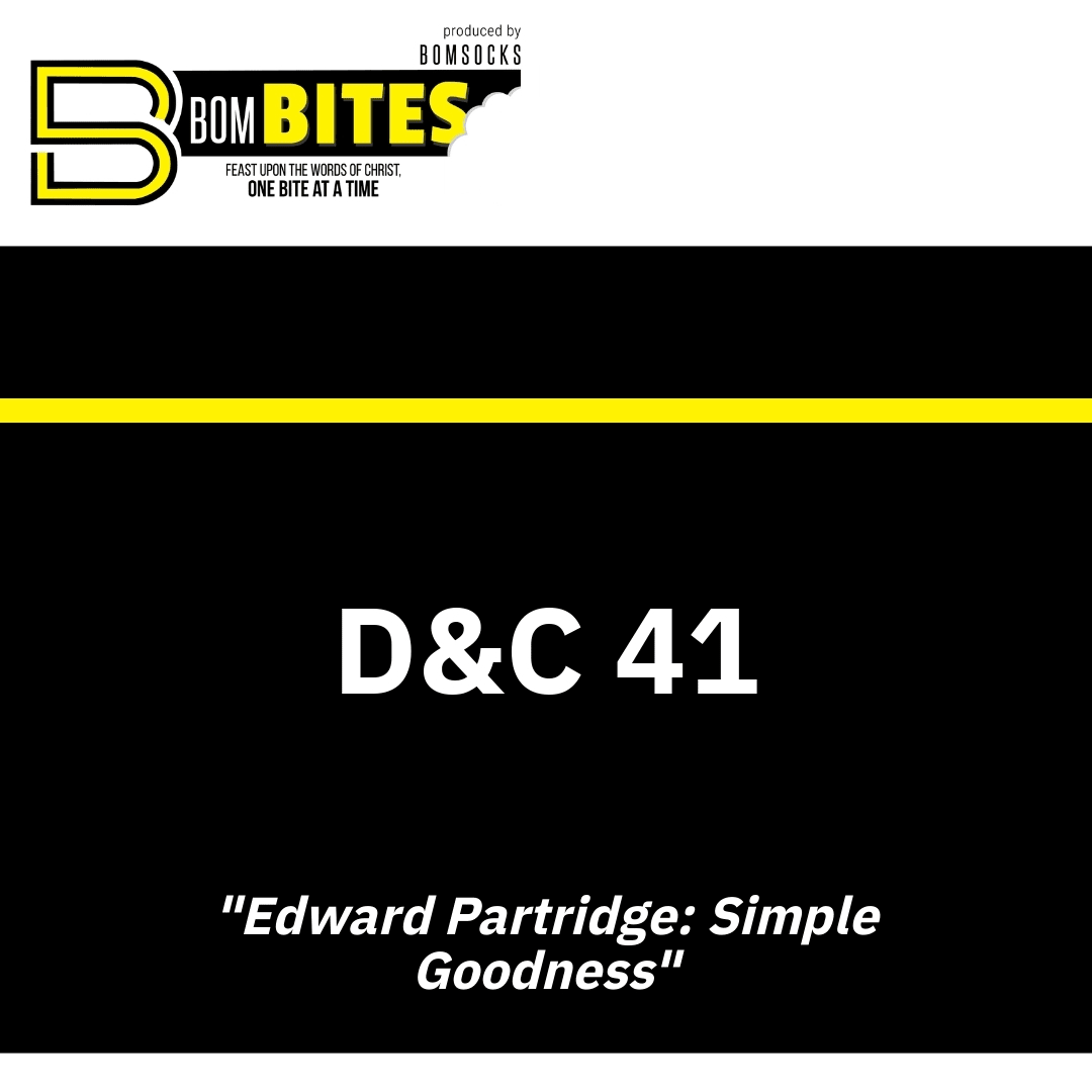Read more about the article D&C 41