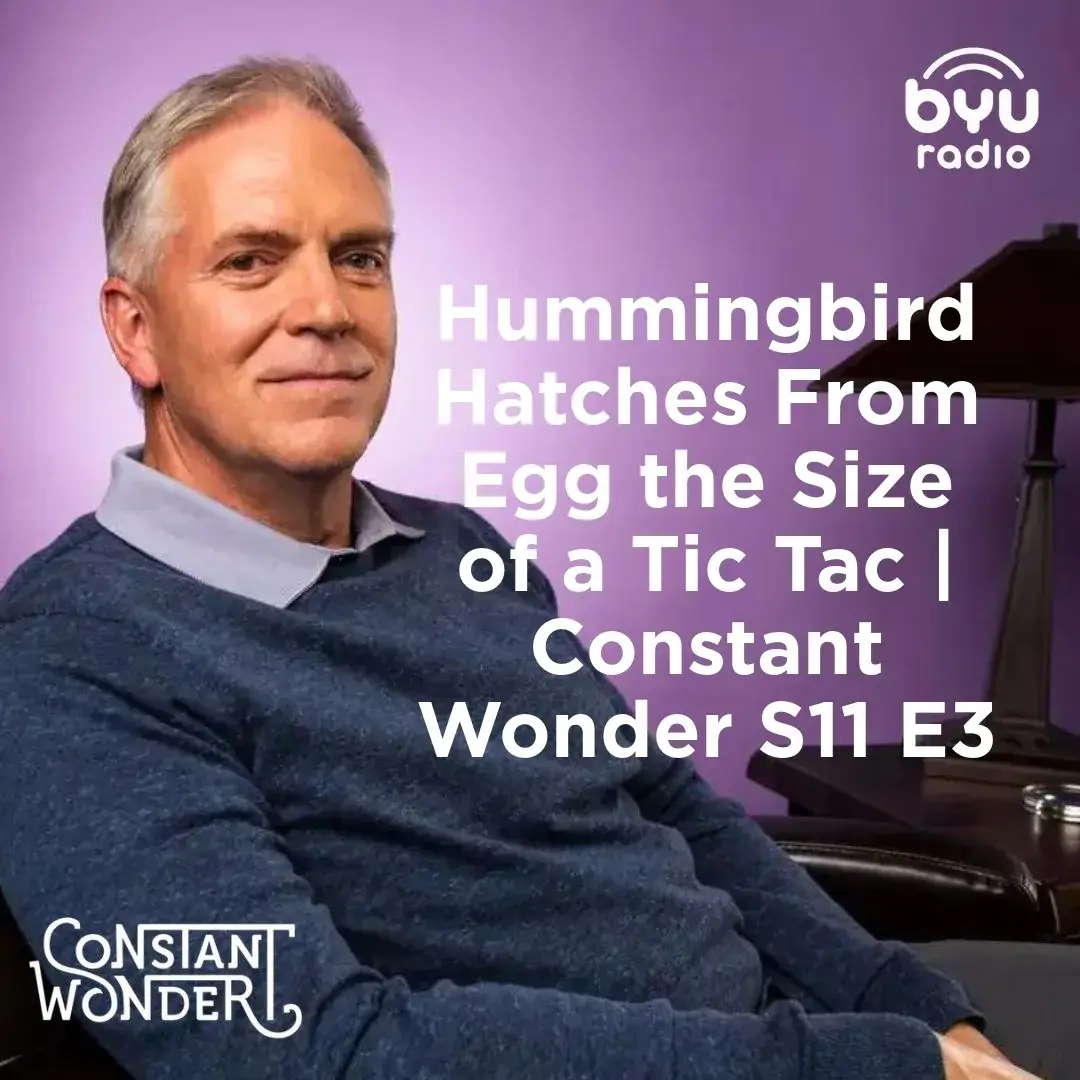 Read more about the article Hummingbird Hatches From Egg the Size of a Tic Tac | Constant Wonder S11 E3