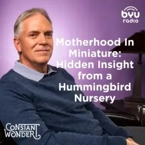 2025-05-07-latter-daily-constant-wonder-marcus-smith-motherhood-in-miniature-hidden-insight-from-a-hummingbird-nursery-cover