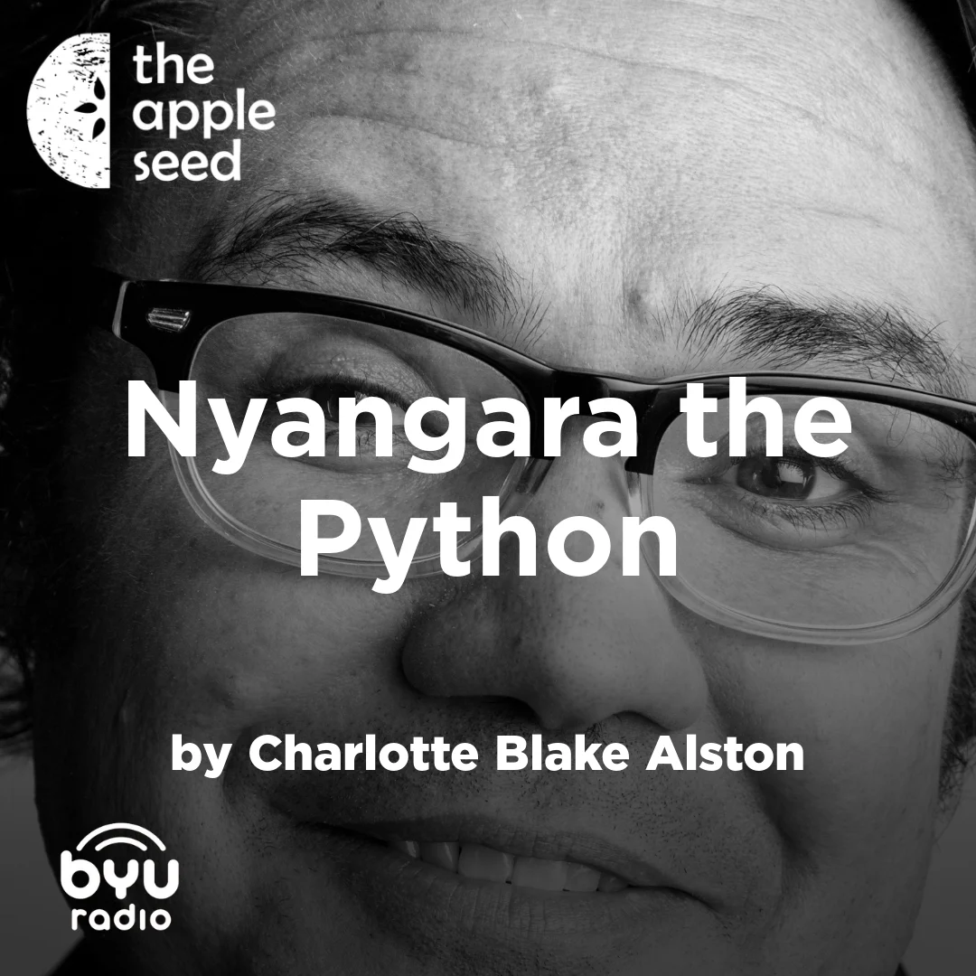 Read more about the article Nyangara the Python
