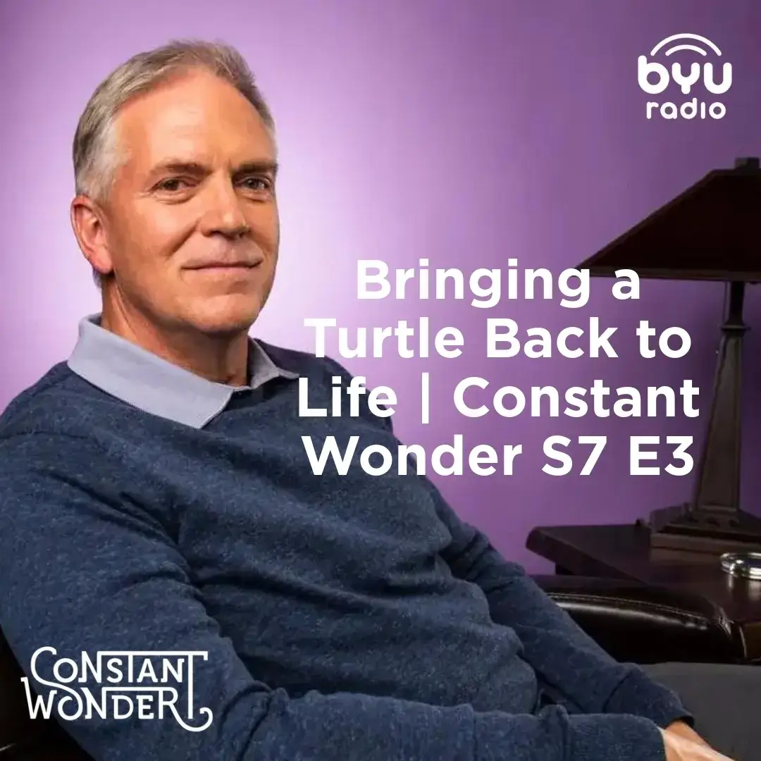 2025-05-14-latter-daily-constant-wonder-marcus-smith-bringing-a-turtle-back-to-life-|-constant-wonder-s7-e3-cover