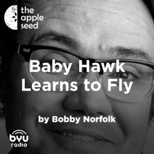 2025-05-15-latter-daily-the-apple-seed-sam-payne-bobby-norfolk-baby-hawk-learns-to-fly-cover