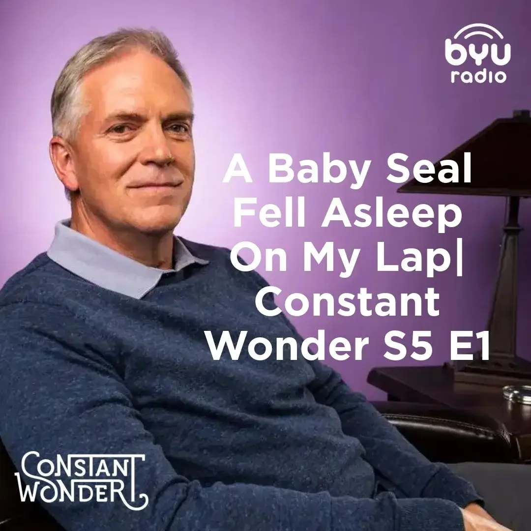 2025-05-16-latter-daily-constant-wonder-marcus-smith-a-baby-seal-fell-asleep-on-my-lap|-constant-wonder-s5-e1-cover