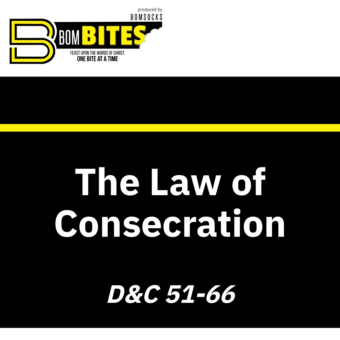 Read more about the article The Law of Consecration