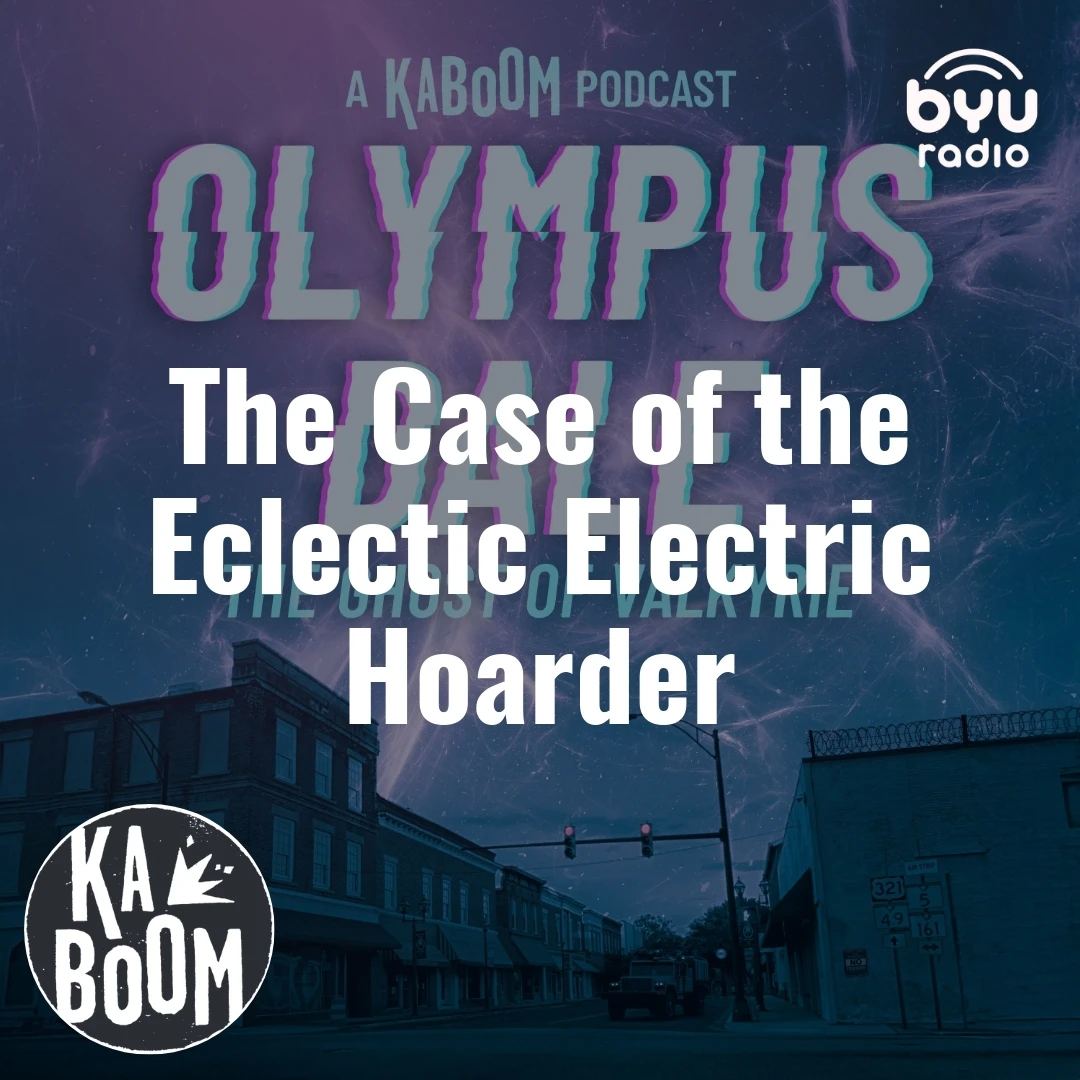 Read more about the article The Case of the Eclectic Electric Hoarder