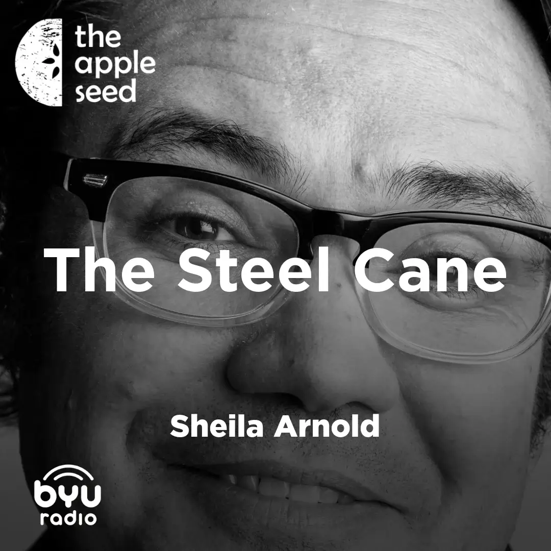 Read more about the article The Steel Cane