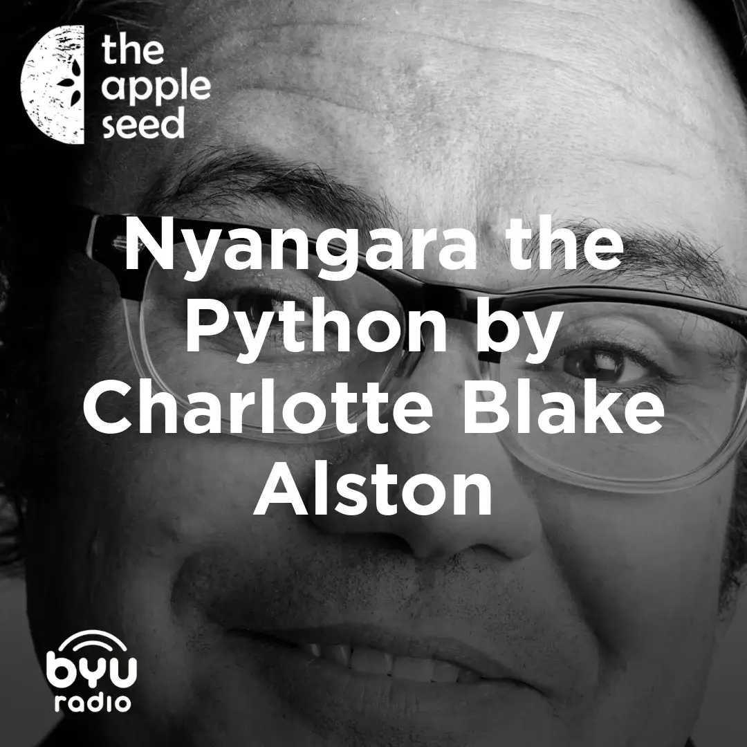 Read more about the article Nyangara the Python by Charlotte Blake Alston